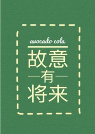 故意有将来小说
